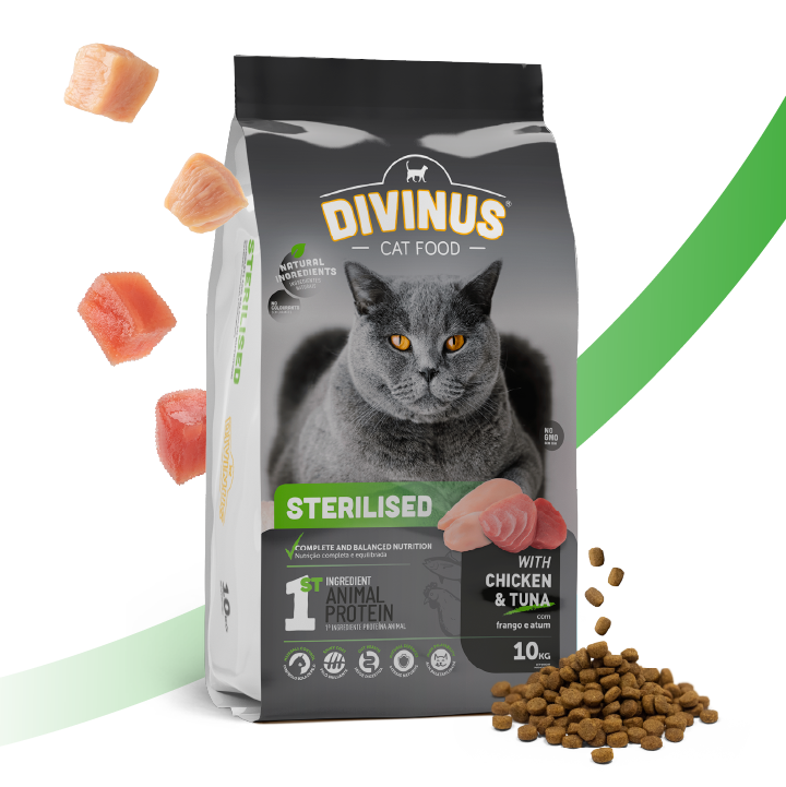 DIVINUS